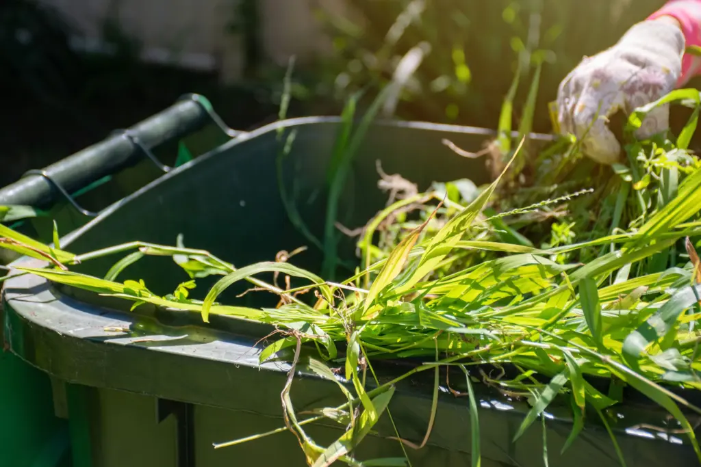 Aus einer Gartentonne ragen Gartenabfälle